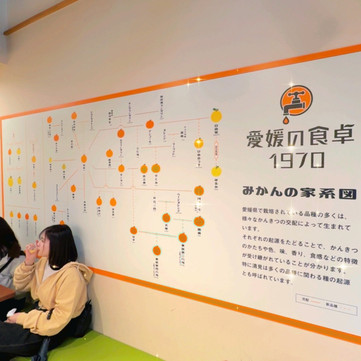 日本・四国｜愛媛県の都市伝説：蛇口をひねるとみかんジュースが出て
