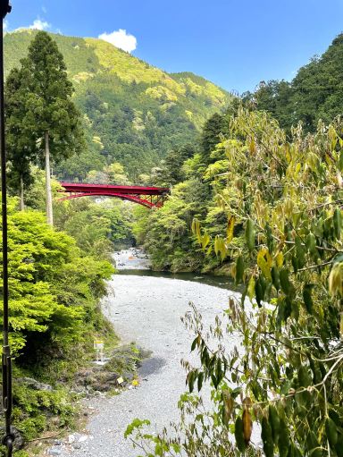 東京×奥多摩】青もみじと新緑の絶景と川のせせらぎ | Trip.com 奥多摩