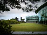 제주 위호텔, 숲과 함께 쉬어가기 좋은 웰니스 리조트 🌿🏨