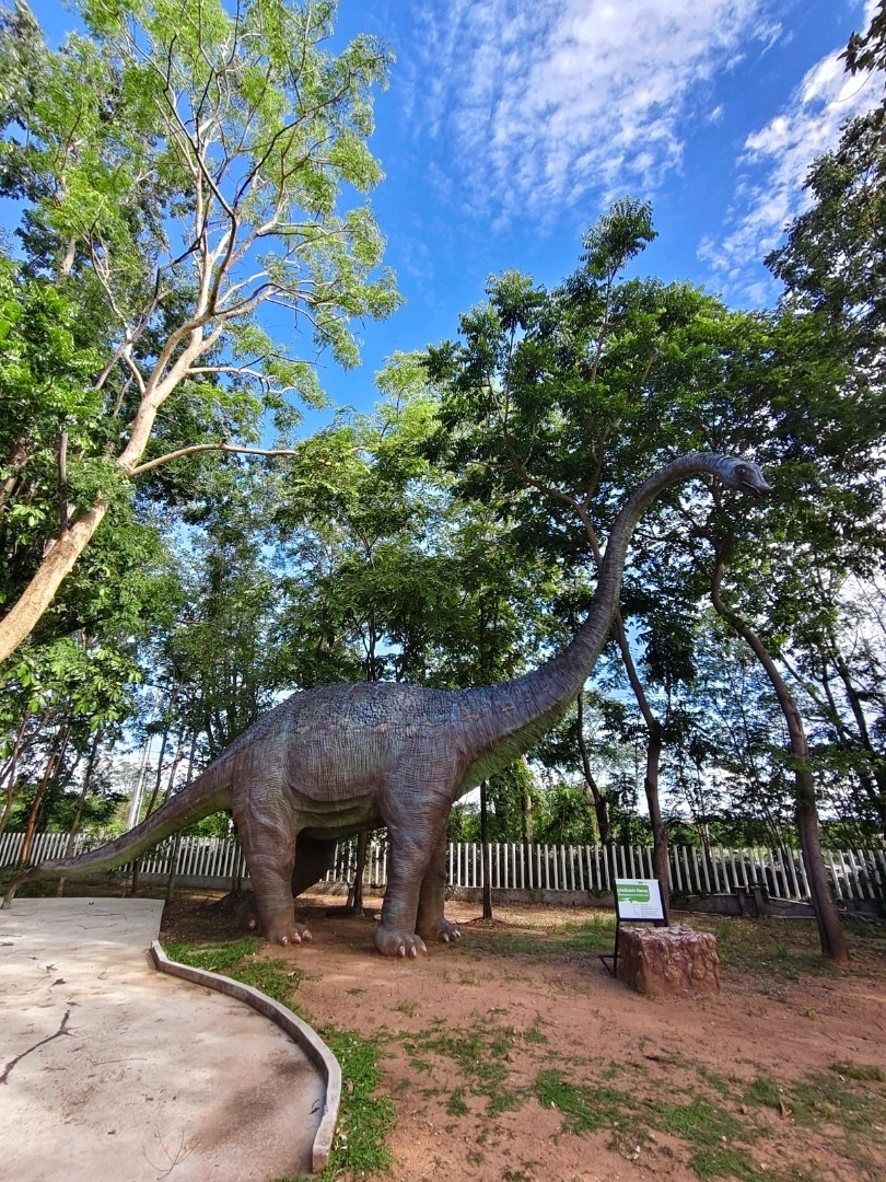 珪化木（けいかぼく）博物館。 | Trip.com ナコーンラーチャシーマー