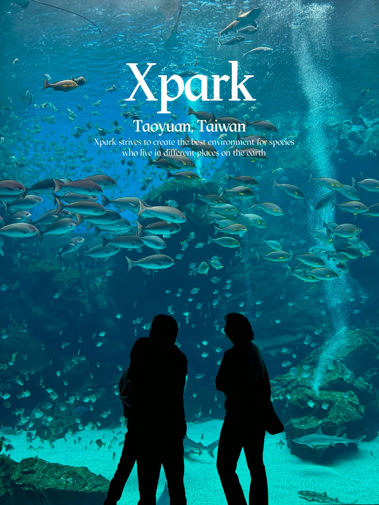Xpark ไต้หวัน🐠🦭🐧