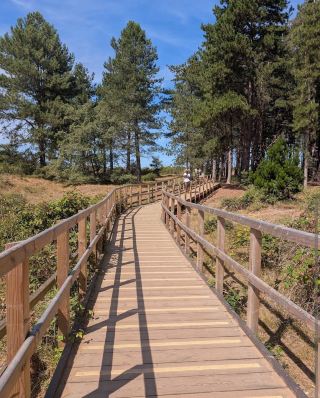 Walking Into the Wild at Holkham Beach 🌾🌊