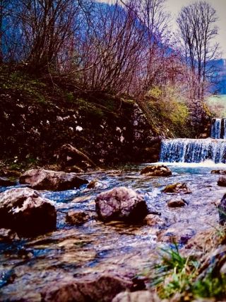 Ecuador Papallacta Pass Mossy Hot Springs Cloud Foresteasytravelpost #Papallacta #TermasDePapallact