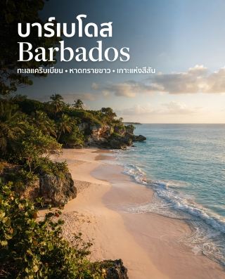 🇧🇧 巴貝多是加勒比海的一個島國，以其美麗的海灘、清澈碧綠的海水和島嶼氛圍而聞名。