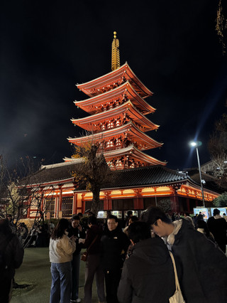 🇯🇵 Which city in Japan should you visit this October?