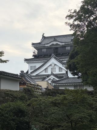 【岡崎観光】徳川家康の生誕の地、岡崎城
