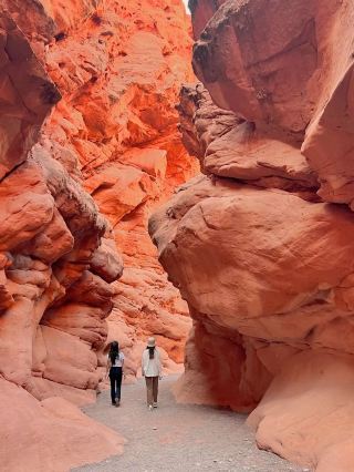Uncovering the Hidden Magic of Quebrada de las Conchas in Salta