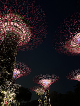 [Ulasan] 🌳 Supertrees, Singapura 🇸🇬