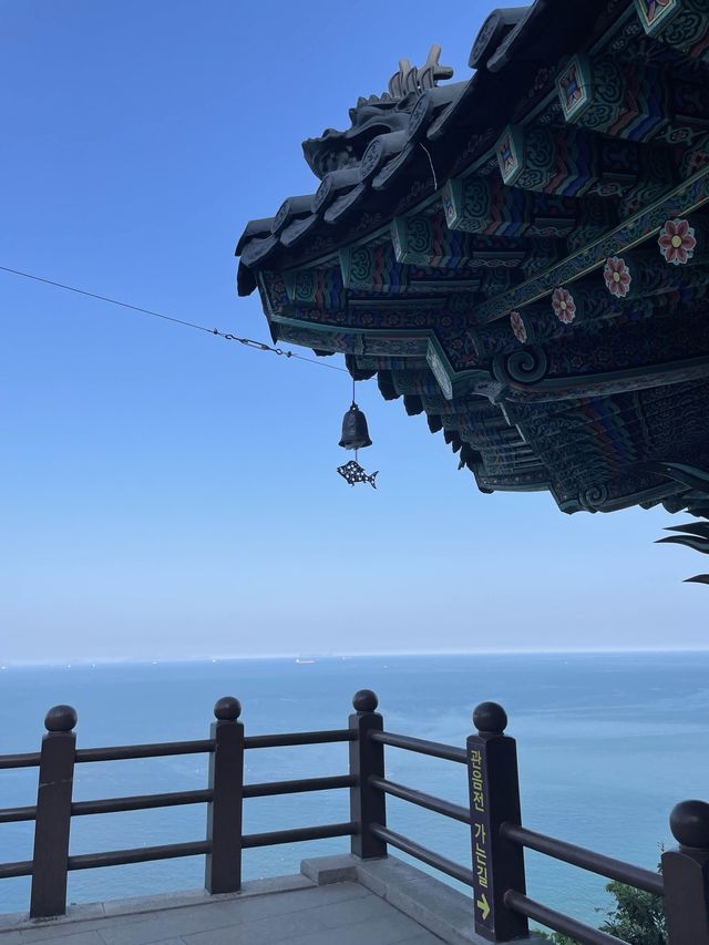바다 절벽 위 아름다운 사찰 여수 향일암✨ 