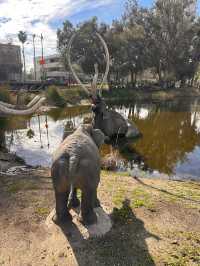 A beautiful park in Miracle Mile 