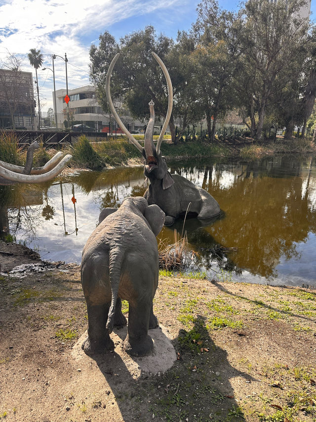 A beautiful park in Miracle Mile 