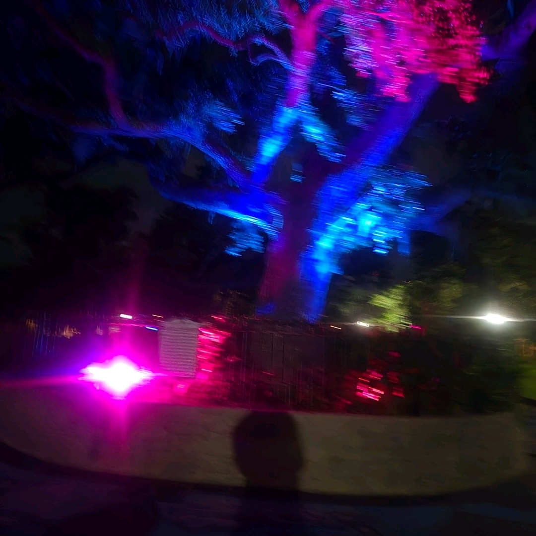 oaks by the bay