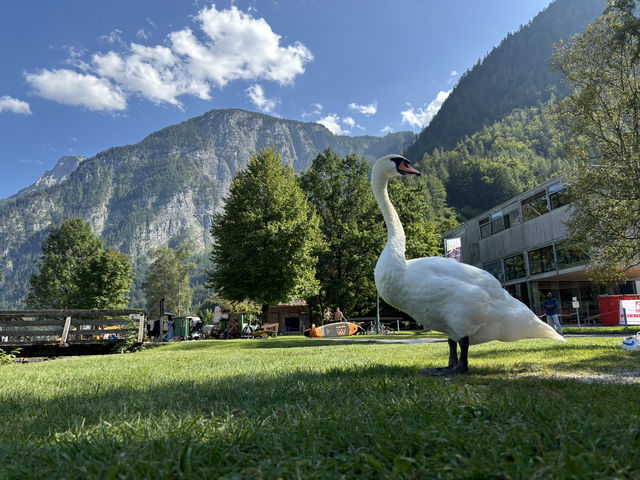 Discovering Hallstatt: A Journey to Austria’s Fairytale Village