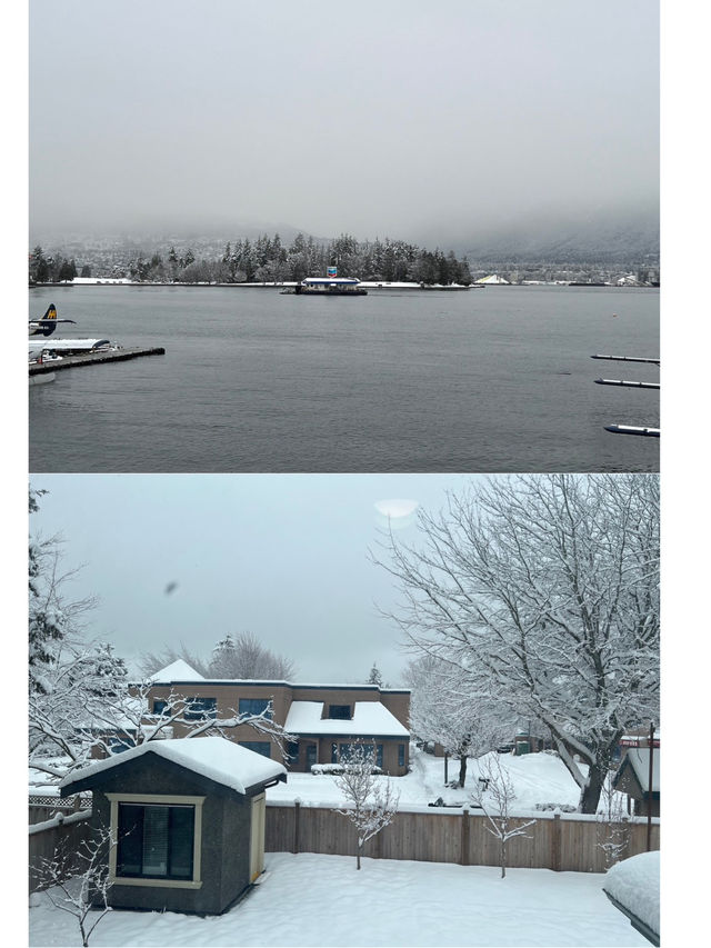 🇨🇦冬季的溫哥華市中心｜雪景與節日氣氛⛄️ 