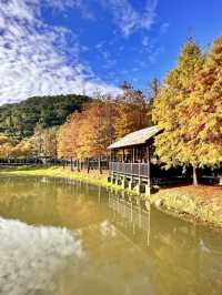 山林之心：原住民文化主題公園的自然絕景