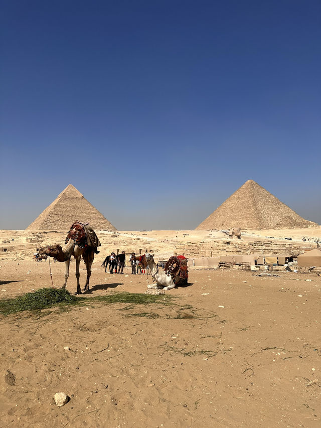 Giza Pyramids, Egypt