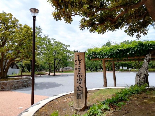 昭和沼公園