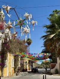 メキシコの魅力🇲🇽