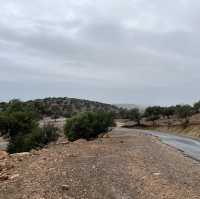 Aourir village, Hike Among the Argan Trees