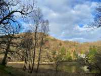 🏞️ Rydal Water:Mirror of Lakeside Tranquilit