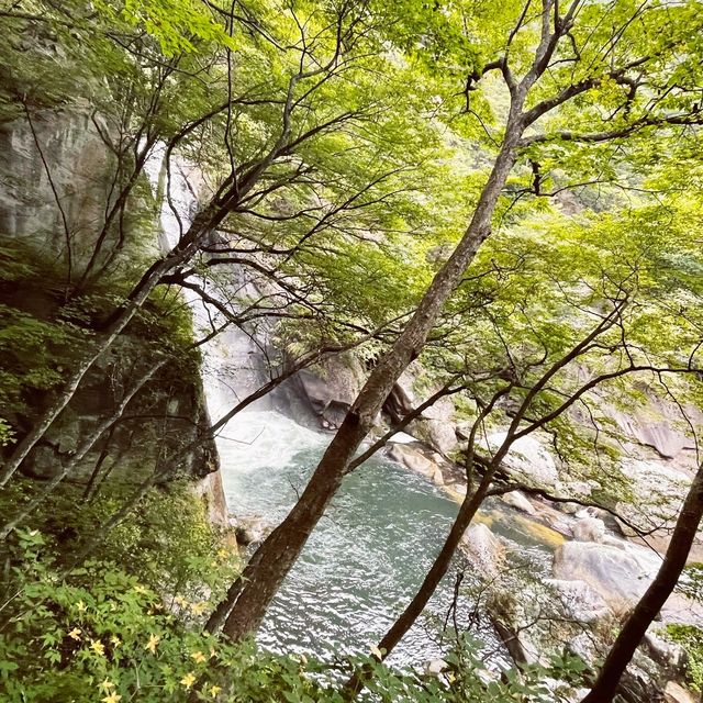 【山梨】日本一の渓谷美！日本遺産認定されている『昇仙峡』🌿