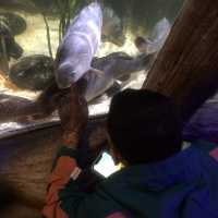 Family-friendly aquarium of Berlin 