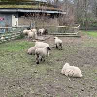 🇬🇧 A Vast Farm in the Heart of London