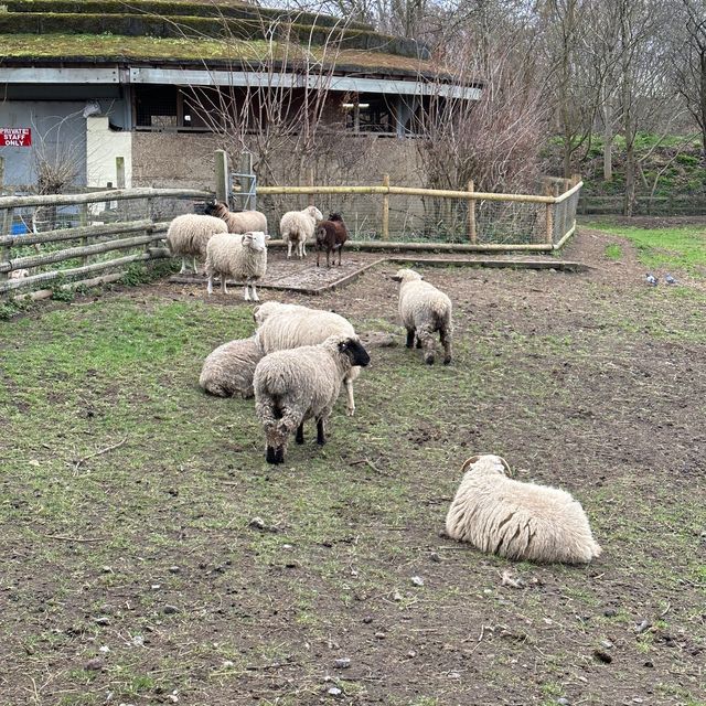 🇬🇧 A Vast Farm in the Heart of London