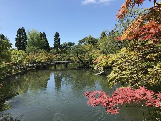 A Day in the Heart of Kyoto