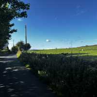 Summer in Lancashire 