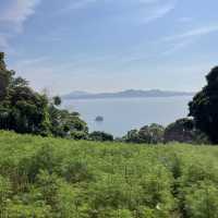 Nokonoshima island 💗