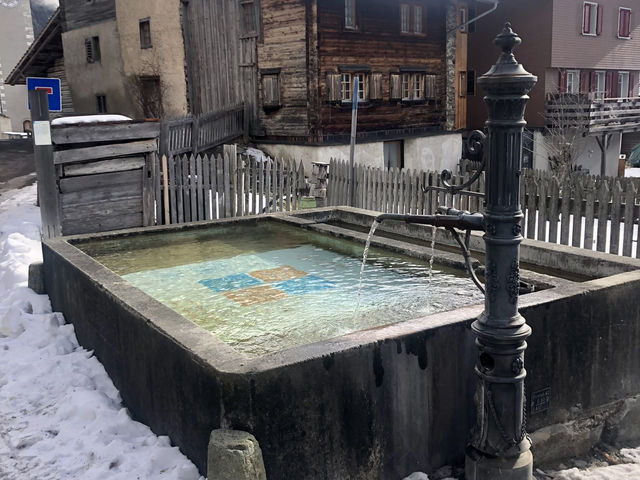 Snowy Escapes