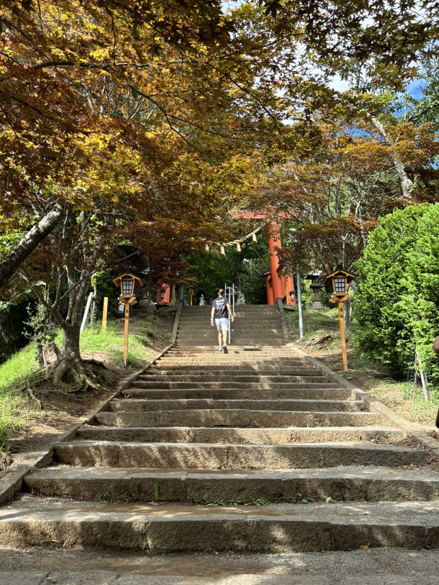 Mount Fuji is not so easy to catch! But this iconic Fuji viewing spot is still worth it