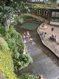 A garden paradise 