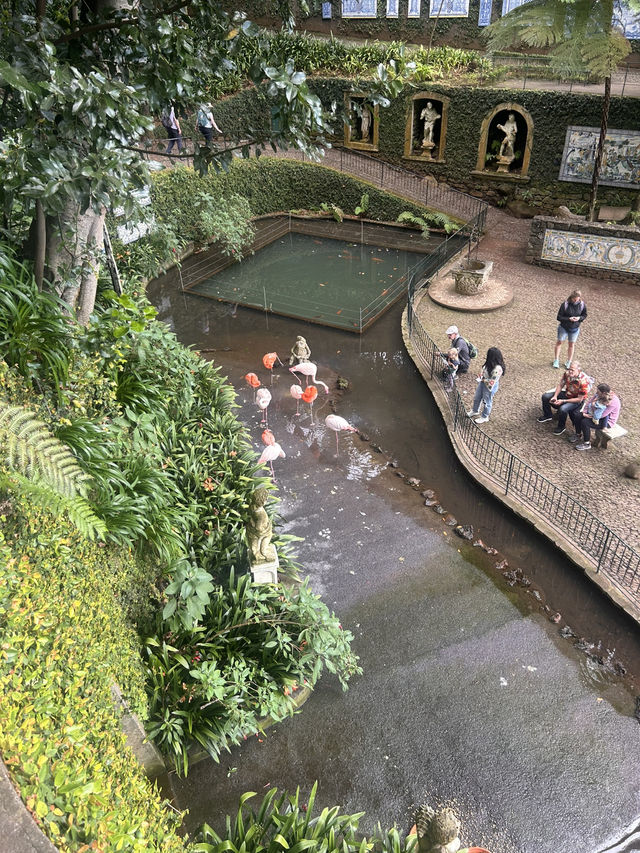 A garden paradise 