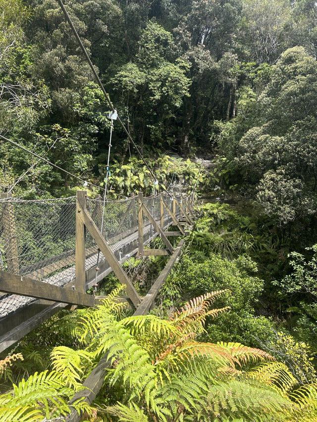 🥾❄️ Hike to Franz Josef Glacier: A Breathtaking Alpine Adventure