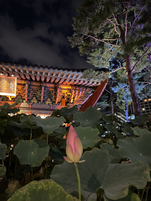 Peace among the lotuses