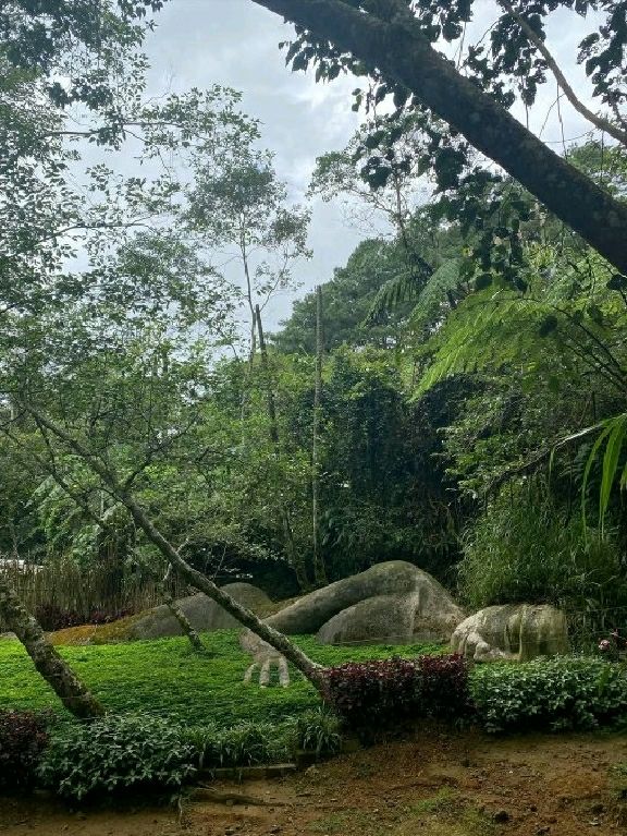 🌄 Top 5 Hikes from Baguio City You Can't Miss! 🥾🌲