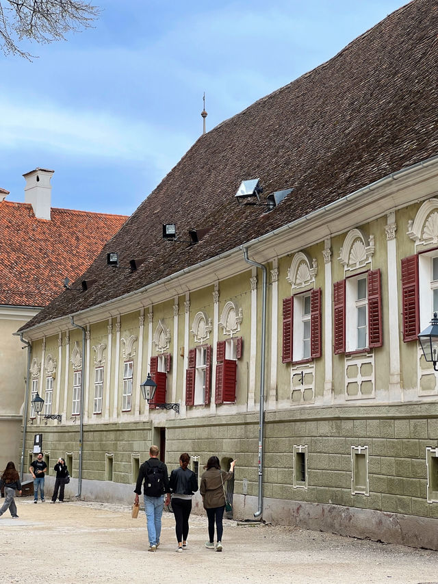 🇷🇴 羅馬尼亞布拉索夫（Brașov） 🐇