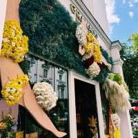 🌸 Chelsea Flower Show 2025: A Blooming Spectacle in London 🌿