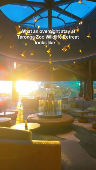 Wild Luxury: My Stay at Taronga Zoo Wildlife Retreat