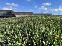 Into the World of Tulips: A Journey to Keukenhof