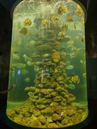 A Fascinating Visit to the Oceanographic Museum in Nha Trang
