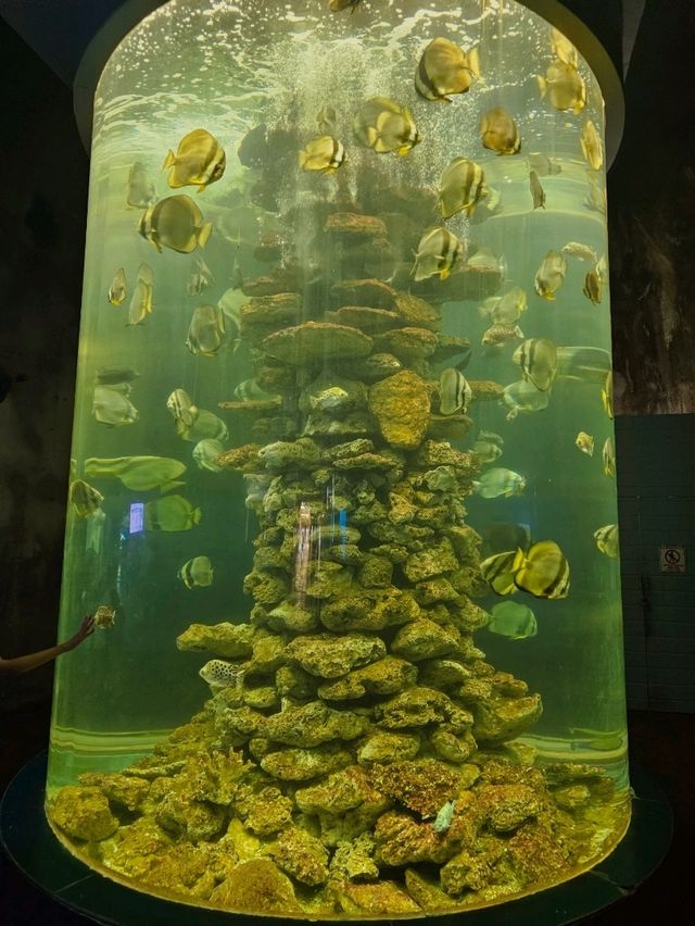 A Fascinating Visit to the Oceanographic Museum in Nha Trang