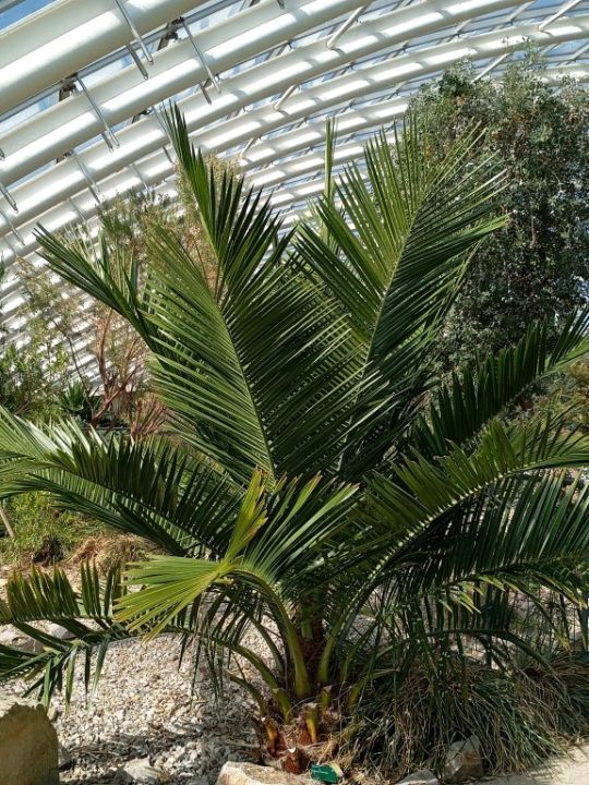 The National Botanic gardens of Wales