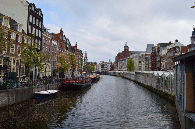 Explore Amsterdam & around without emptying your wallet 🌷🚲