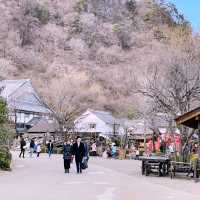 Tokyo Day Trip: Experience the Edo Era at Edo Wonderland