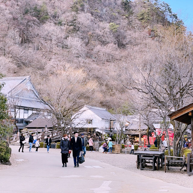 Tokyo Day Trip: Experience the Edo Era at Edo Wonderland