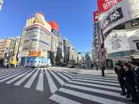 Two iconic cities, endless neon: Tokyo x Kyoto Review