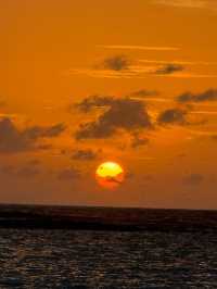 Vilamendhoo Island Resort — Where the Reef Speaks Louder Than Words